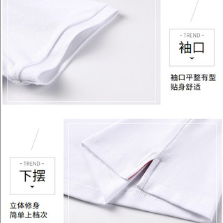 Q ZHIHE/千纸鹤 男士POLO衫 咖啡色 L