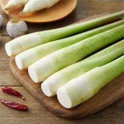 京喜加 浙江新鲜茭白时令蔬菜带壳茭白高笋应季美食自种 1斤 净重