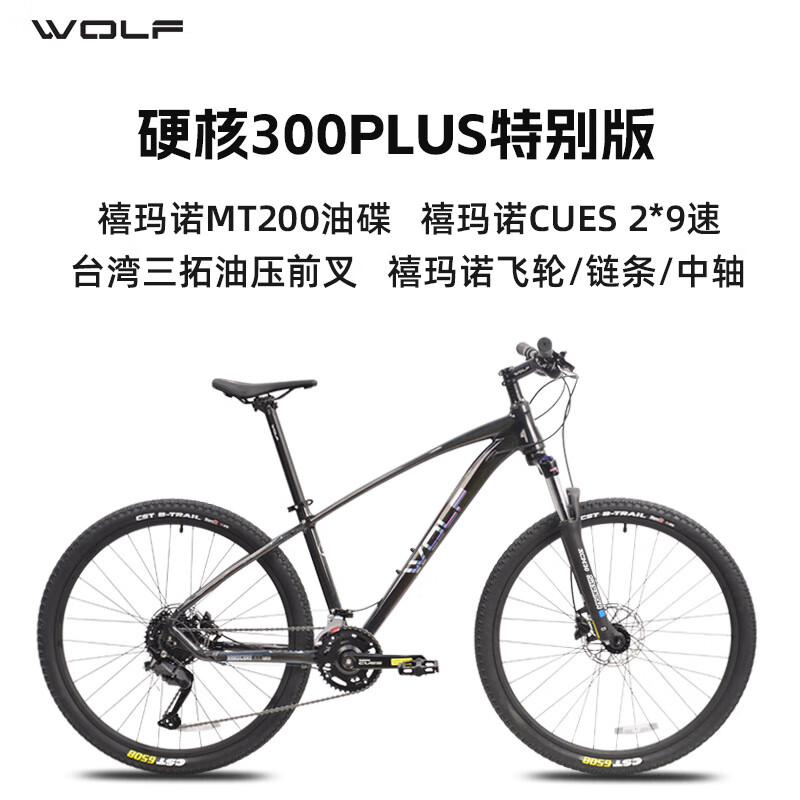 变色星空灰 /CUES 2*9速/三拓前叉