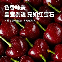 京溢鲜 智利进口车厘子礼盒 10斤 XL级24-26mm