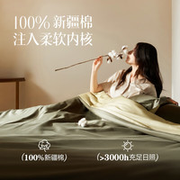网易严选 100%新疆长绒棉有氧纯棉四件套 大双人床 (被套2.2*2.4m)