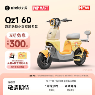九号 Qz1 电动车 TDT209Z
