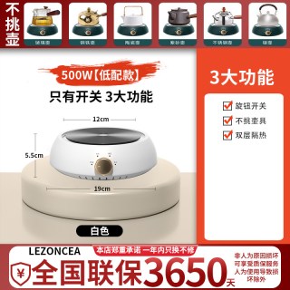 贝圈熊 电炉子煮茶器小型电陶炉电磁炉迷你烧水玻璃茶壶可恒温
