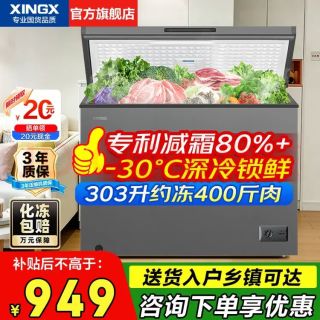 星星 BD/BC-300KE 冰柜 303L