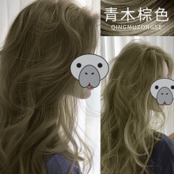 首品 买一送一青木棕色染发剂膏自己在家染显白学生免漂植物不伤发