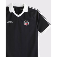  Abercrombie & Fitch 美式复古 男士Polo衫
