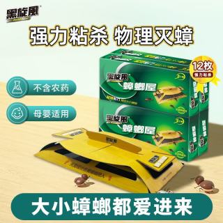 black swirl-wind 蟑螂药家用蟑螂屋12片杀蟑胶饵灭蟑螂贴全窝端无农药成分捕捉器