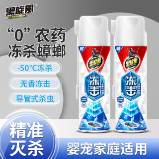 black swirl-wind 无香型冻杀喷雾蟑螂药 300ml*2