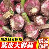 果玥 2026现挖特大果紫皮大蒜湿蒜1斤