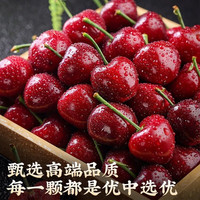 爆料鲜丰 进口智利车里子黑珍珠 生鲜应季水果顺丰直发坏果包赔 5斤(净重) 净果33-34mm