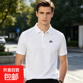 龙狮戴尔 透气抗皱轻薄时尚休闲短袖 百搭POLO衫