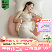 多米贝贝 孕妇枕护腰侧睡枕托腹可拆洗靠枕孕晚期睡觉侧卧海豚抱枕孕妇礼物