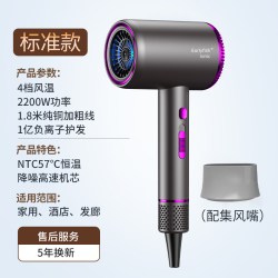 早鱼 德系电吹风机负离子护发静音速干家用宿舍用学生大风力吹头发风筒