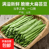 京喜 山东春季大扁芸豆  带箱2斤净重1.8斤