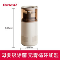 Brandt 无雾加湿器家用空气净化蒸发式除菌增湿机