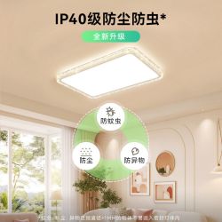 雷士 高级感 吸顶灯