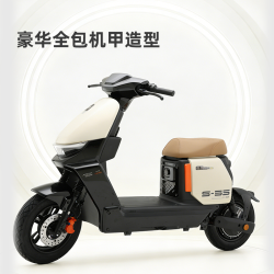 绿源 S35-D 48V30Ah铅酸电池 新国标电动自行车