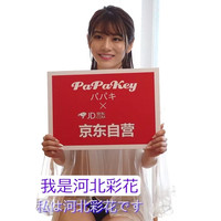 PaPaKey 河北彩花真人倒模  2代soft 飞机杯 600G