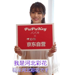 PaPaKey 河北彩花真人倒模  2代soft 飞机杯 600G