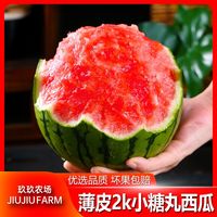 百亿补贴：玖玖农场 安徽 2K小糖丸西瓜 新鲜薄皮全美手撕小西瓜