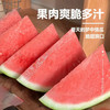 薏品甄鲜 山东藤吊冰糖小西瓜 4.5-5斤（2-3枚）