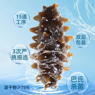 晓芹 大连晓芹即食海参3斤参鲍礼盒 24-30头 1500g*1盒