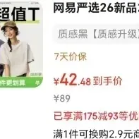 网易严选 秒杀30分钟！280g重磅 纯棉短袖T恤 男女同款