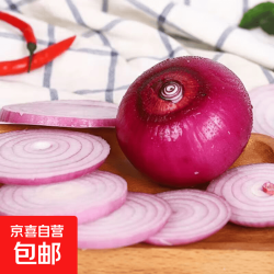 京喜自营-专用品牌 新鲜红洋葱 500g 食品生鲜