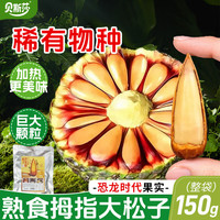 贝斯莎 巴拉那松子 150g 1袋