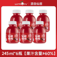 扬百利 杨梅汁饮料 245ml*8瓶