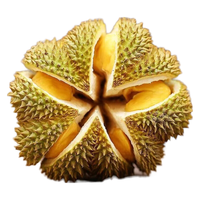 鲜惠源 榴莲 4-5斤榴莲(1-2个装)A果 2kg