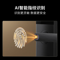 龙霆 智能门锁电子锁指纹锁密码锁执手款防盗把手门锁T3