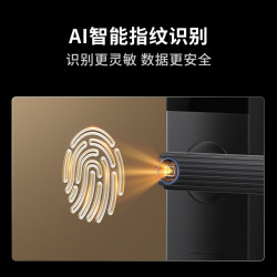龙霆 智能门锁电子锁指纹锁密码锁执手款防盗把手门锁T3