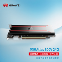 珑京 国产昇腾Atlas 300V 24G GPU 视频解析卡 AI大模型推理 视频分析 深度学习计算加速显卡