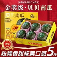 晟容果蔬 正宗贝贝南瓜板栗小南瓜宝宝辅食新鲜蔬菜 3斤