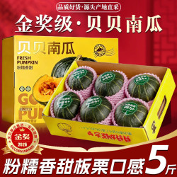 晟容果蔬 正宗贝贝南瓜板栗小南瓜宝宝辅食新鲜蔬菜 3斤
