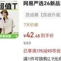 网易严选 秒杀价280g重磅 纯棉短袖T恤 男女同款