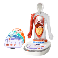Science Can 人体模型语音百科 4-10岁儿童益智玩具