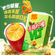 维他奶 维他手指柠檬茶饮料250ml*24盒 甄选大红袍 家庭聚会