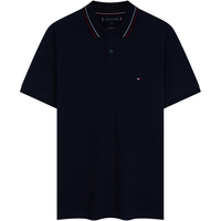 TOMMY HILFIGER 汤米·希尔费格男士POLO衫