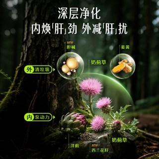 Swisse 斯维诗 奶蓟草胆碱护肝片