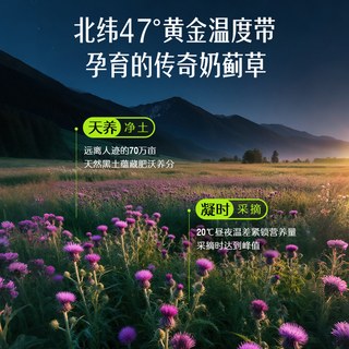 Swisse 斯维诗 奶蓟草胆碱护肝片