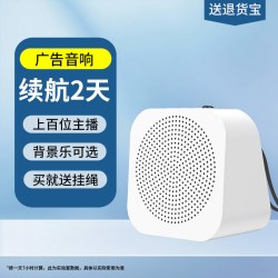 大洪 录音循环播放录音喇叭地摊叫卖广告音响文字转语音蓝牙一体机