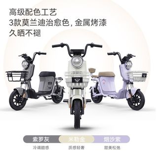 绿源 新国标电动自行车