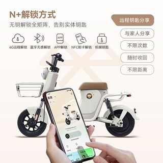 绿源 新国标电动自行车