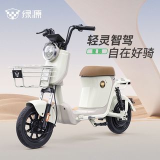 绿源 新国标电动自行车