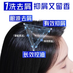 海飞丝 去屑丝质柔滑洗发水套装(500g*2+80g)*4+恬雅300g*2