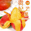 现摘海南贵妃芒芒果4.5斤新鲜水果树上熟芒果整箱红金龙甜心芒