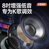  SANSUI/山水 TD087 卡拉OK一体机 广场舞音响