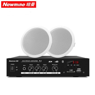  Newmine/纽曼 R15 吸顶式音响套装